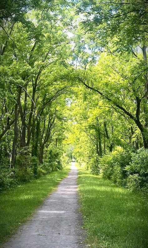 Korea Location, Natures Path, Landscape Photography Nature, Dirt Road, Landscape Scenery, Beautiful Tree, Amazing Nature, Nature Pictures, Nature Photos