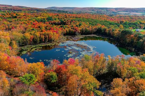 2024 fall foliage: When will leaves change, peak in Upstate NY? Upstate Ny Travel, Alexandria Bay, Ny Trip, Leaf Peeping, Adirondack Mountains, Changing Leaves, River Falls, Lake Placid, Upstate Ny