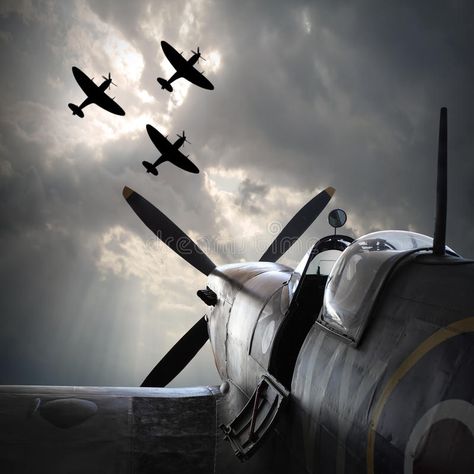 Photo Avion, Wwii Fighter Planes, Wwii Airplane, The Fighter, Airplane Fighter, Wwii Fighters, Wwii Plane, Airplane Art, Supermarine Spitfire