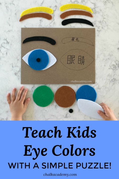 How to Make a Felt Eye Puzzle - Human Anatomy Activity for Kids Eyes Activity For Preschool, Eye Activities For Preschool, Eye Crafts For Preschoolers, Eye Activities, Vehicle Activities, Five Senses Preschool, Senses Preschool, Eye Anatomy, Senses Activities