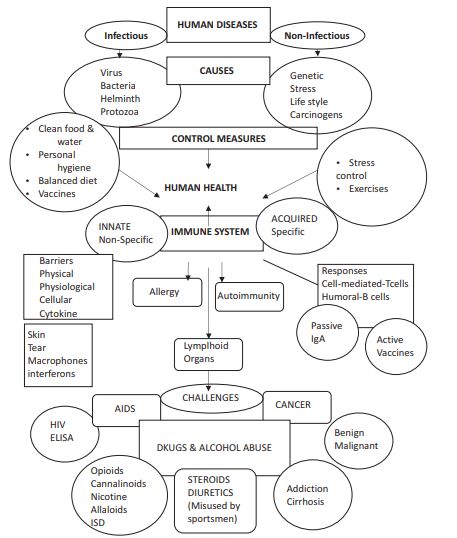 Microbes In Human Welfare Notes, Human Health And Disease Notes, Human Health And Disease, Biology Revision Notes, Biology Class 12, Biology Revision, Chemistry Basics, Brain Mapping, Study Flashcards