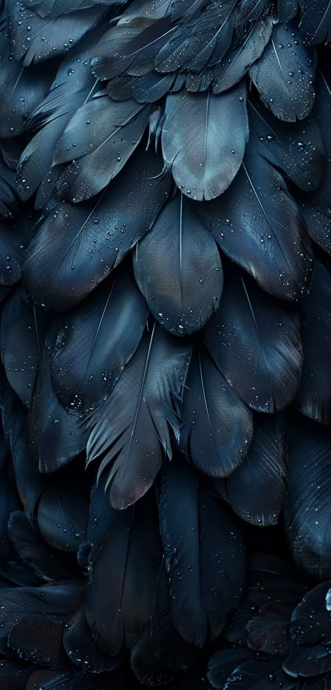 Feather Aesthetic, Blue Jay Feather, Healing Aesthetic, Feather Background, Wings Wallpaper, Aesthetic Animals, Aesthetic Walls, Feather Wallpaper, Eagle Feathers