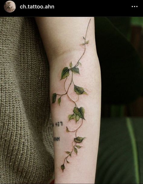 Hanging Vines Tattoo, Plant Tattoos For Women Leg, Ivy Tattoo Around Arm, Colored Plant Tattoo, Plant Aesthetic Tattoo, Green Ivy Tattoo, Moss Tattoo Design, Leaf Skeleton Tattoo, Colored Vine Tattoo