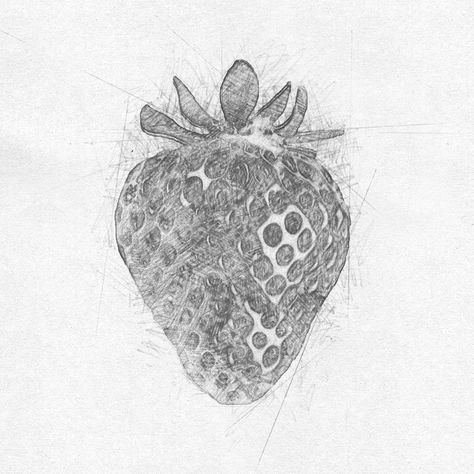 Strawberry Sketch Pencil, Strawberry Pencil Drawing, Strawberry Drawing Black And White, Strawberries Sketch, Strawberry Sketch, Sketch Fruit, James Coleman, Strawberry Painting, Value Drawing