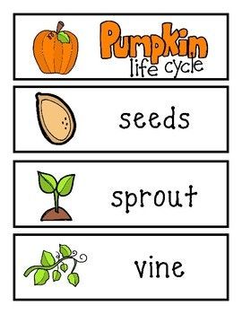 Pumpkin Word Wall Cards Pumpkin Craft Preschool, Pumpkin Crafts Preschool, Pumpkin Activities Preschool, Preschool Apple Theme, October Classroom, Preschool Fine Motor Activities, Toddler Themes, Apple Preschool, Preschool Science Activities