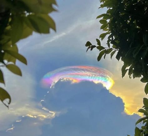 Cloud iridescence over Malaysia.  Photo:  Vicky Wills. Cloud Iridescence, Rainbow Images, Ap Studio Art, Rainbow Sky, Sky Full Of Stars, Profile Pictures Instagram, Cute Flower Wallpapers, Nature Drawing, Weird Dreams