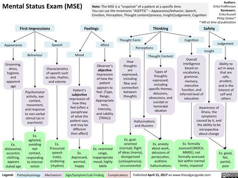 Mental Status Examination, Forensic Social Work, Clinical Social Work Exam, Hospital Social Work, Lcsw Exam Prep, Mental Status Exam, Clinical Counseling, Social Work Interventions, Cbt Therapy Worksheets
