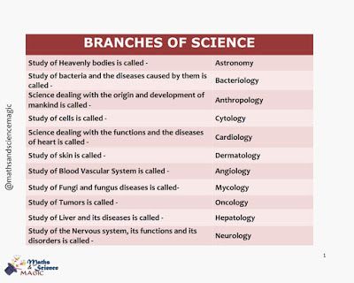 Cardiology Study, Pathology Study, Comeback Jokes, Branches Of Biology, Science Magic, Learn Biology, Branches Of Science, Anatomy Bones, Biology Facts