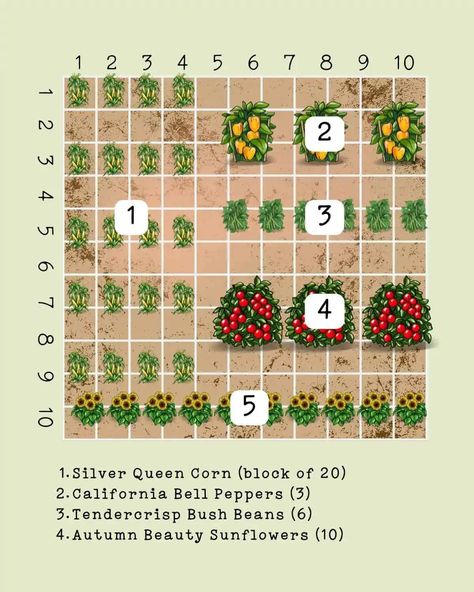 10 X 10 Garden Layout, Sq Ft Gardening Layout, Perfect Garden Layout, Veggie Garden Layout, Planting Layout, Vegetable Garden Layout Design, Garden Planning Layout, Garden Layout Vegetable, Small Vegetable Gardens