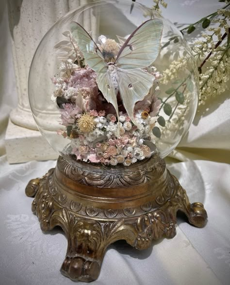 Victorian Room Ideas, Bug Terrarium, Wisteria Aesthetic, Entomology Decor, Pretty Moths, Pagan Inspiration, Victorian Ideas, Alice In Wonderland Decor, Fairy Diy