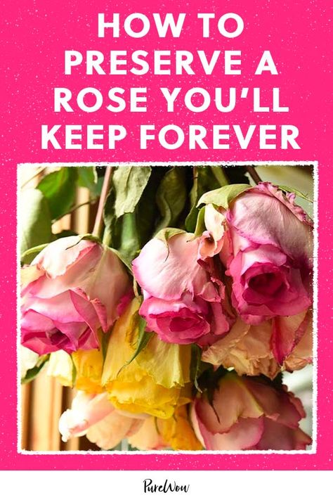 How To Save A Rose Forever, How To Dry Out Flowers, Preserve A Rose, Preserve Roses, Pressed Roses, Dried Flowers Diy, Forever Roses, 12 Roses, How To Make Rose