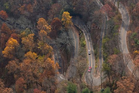 240 forest ave chattanooga tn | Road, Signal Mountain, Tennessee, aerial photo | Ron Lowery Signal Mountain Tennessee, Road Signal, Tennessee Waltz, Country Walk, Chattanooga Tennessee, Historic Photos, Chattanooga Tn, Beautiful Places On Earth, Aerial Photo