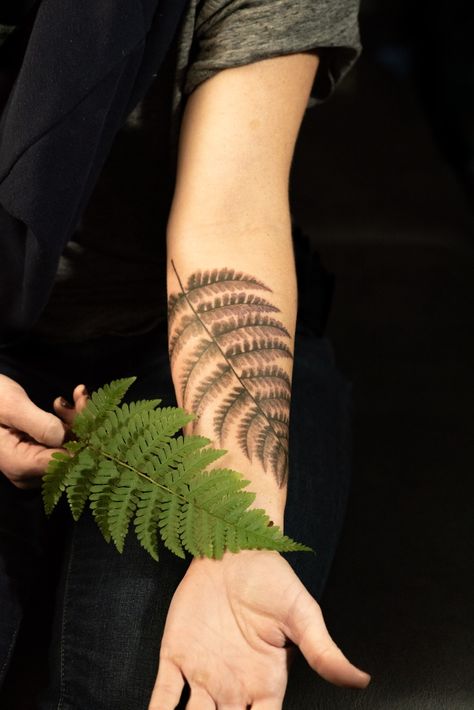 Fern Tattoo Design, Fern Tattoo, Forest Tattoos, Plant Tattoo, Peonies Tattoo, Toned Paper, Nature Tattoos, Plant Art, Body Mods