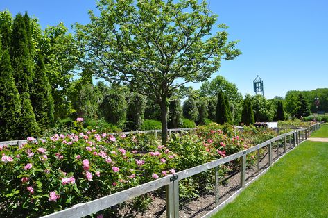 Reiman Gardens Things To Do In Iowa, Amana Colonies, Ames Iowa, Iowa Travel, Iowa State Fair, Park Restaurant, Iowa State University, Centennial Park, Tourism Website