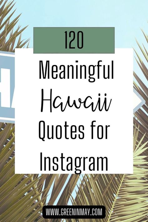 Aloha! Are you looking for some meaningful Hawaii quotes to add to your Instagram captions? Whether you're a Hawaii native or just a lover of the islands, we've got you covered with 120 inspiring and beautiful Hawaii quotes that will transport you to paradise! Aloha Quotes, Hawaii Quotes, Paradise Quotes, Looks Quotes, Best Captions, Island Quotes, Beautiful Hawaii, Beach Selfie, Short Instagram Captions