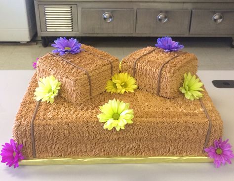 Hay bale cake for Country theme banquet. Hay Bale Cake, Hay Bail, Tractor Birthday Cakes, Ag Day, Farm Animal Party, Tractor Birthday, Country Theme, Hay Bales, Favorite Hobby