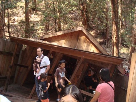 6. The Mystery Spot– Santa Cruz Chandelier Tree, Winchester Mystery House, Coastal Redwood, Secret Passages, Mystery Shack, Happy Camp, Town Names, Historic Mansion, Butterfly House