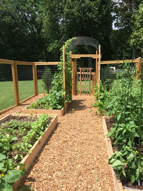 Veg And Flower Garden, Mulch Between Raised Beds, Fenced Veggie Garden, Veggie Garden Fencing, Homestead Garden Layout Backyards, Garden Layout With Greenhouse, Garden Layout Raised Beds, Vegetable Garden Fence Ideas, Walk In Garden