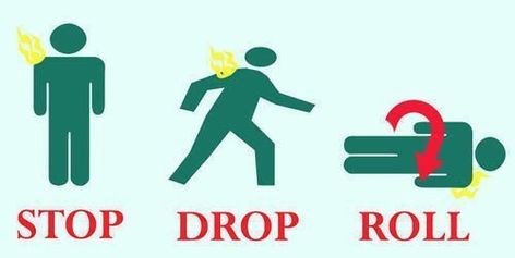 Stop, Drop and Roll Stop Drop And Roll Activities For Preschoolers, Stop Ragging Poster, Stop Drop And Roll, Stop And Go Signs Printable Free, Poster Making On Road Safety, Fire Safety Week, Safety Week, Ganesha Pictures, Fire Safety