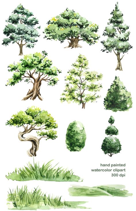 Forest Clipart, Trees Clipart, Basic Watercolor, Forest Drawing, Tree Watercolor Painting, Prismacolor Art, Mini Bonsai, Art Forest, Tree Clipart