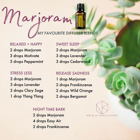 Marjoram Essential Oil, Doterra Recipes, Helichrysum Essential Oil, Doterra Diffuser Blends, Essential Oils For Pain, Doterra Essential Oils Recipes, Essential Oil Diffuser Recipes, Oil Diffuser Recipes, Cedarwood Oil