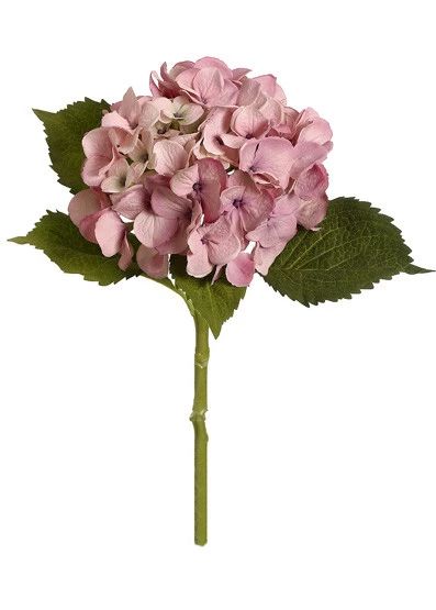 Antique Pink Hydrangea Stem | Silk Wedding Flowers | Afloral.com Hydrangea Photography, Hydrangea Photo, Hydrangea Pink, Flower Hydrangea, Large Hydrangea, Wedding Flowers Hydrangea, Vintage Bouquet Wedding, Fake Hydrangeas, Faux Hydrangea