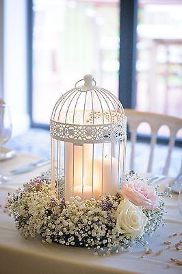 Shabby Chic Wedding Table, Bird Cage Centerpiece, Shabby Chic Wedding Decor, Themed Wedding Decorations, Flowers And Candles, Table Centerpieces Diy, Boda Diy, Bird Cage Decor, Rustic Wedding Table