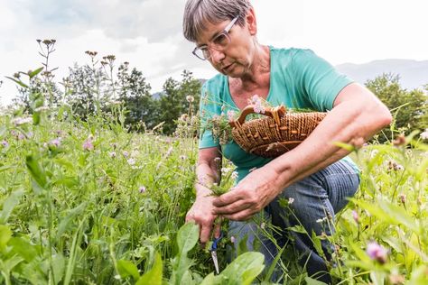 Appalachian Folk Magic and Granny Witchcraft Appalachian Witchcraft, Appalachian Folk Magic, Granny Magic, Faith Healing, Protective Charms, Folk Magic, Achillea Millefolium, Magic Squares, Herbal Magic