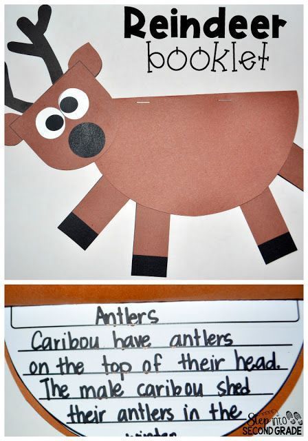 Students create reindeer booklets to showcase all the research they completed on reindeer with this adorable idea from Amy Lemons. This idea is great for your elementary classrooms this December. Find this idea and more in this roundup of reindeer activities for Christmas! Reindeer Activities, Cheap Ornaments, Reindeer Drawing, Amy Lemons, Fun Christmas Activities, Reindeer Craft, Christmas School, Christmas Activities For Kids, Crafts With Pictures