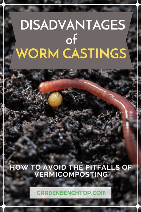 worm castings disadvantages Vermiculture Worm Farm, Vermicomposting Worm Farm, Worm Farm Diy, Worm Castings Tea, Worm Beds, Worm Composting Bin, Gardening Tips And Tricks, Meal Worms, Worm Bin