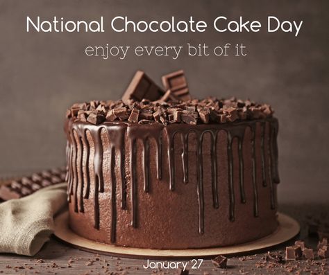 Do you know what day it is?? It's my favorite day, National Chocolate Cake Day!!   I hope your day is as sweet as the chocolate cake that I plan to eat tonight is!  Happy National Chocolate Cake Day. Baskin Robbins Ice Cream Cake, National Chocolate Cake Day, Baskin Robbins Ice Cream, Butterscotch Cake, Thanksgiving Happy, Online Cake Delivery, Chocolate Wedding, What Day Is It, Chocolate Wedding Cake