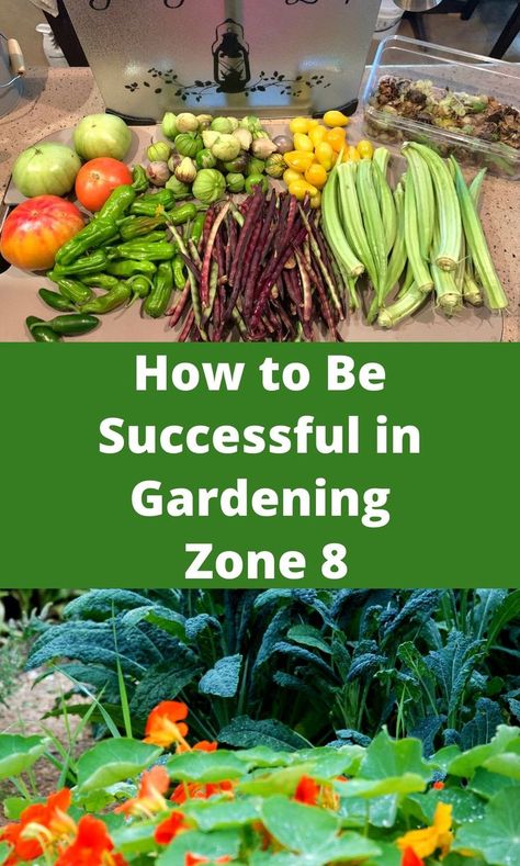 Planting Calendar For Zone 8, Zone 8 October Planting, Types Of Garden Beds, What To Plant August Zone 8, 8b Gardening Zone, Zone 8 Container Gardening, Zone 8 Garden Plans, Fall Garden Layout Zone 8, Texas Gardening Zone 8b