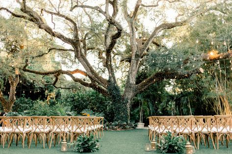 Villa Woodbine Wedding Venue in Miami Florida with the famous tree of life! Natural, boho, romantic. Ceremony under a tree with bistro lights and lanterns is a dream! . . .  #miamiwedding #weddingdetails #ceremony #weddingtree #musthaveweddingphoto #topweddingphoto #musthaveweddingpicture #ceremonydetail #romanticwedding #sunsetwedding #weddingidea #ceremonyidea #naturewedding #greenandgoldwedding #bistrolightsidea #outsidewedding #outdoorwedding #outdoorceremony #outsideceremony #forestwedding Tree Of Life Wedding, Wedding Under A Tree, Tree Ceremony Wedding, Wedding Ceremony Under Tree, Wedding Under Tree, Wedding Altar Tree, Willow Tree Wedding Ceremony, Live Oak Wedding, Married Under A Tree