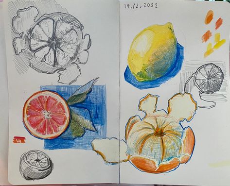 Food Pencil Sketch, Fruit And Vegetable Drawing, Fruit Sketchbook Page, Coloured Pen Drawings, Fruit To Draw, Colored Pen Art, Drawing Of Food, Fruit Sketches, Fruit Drawings