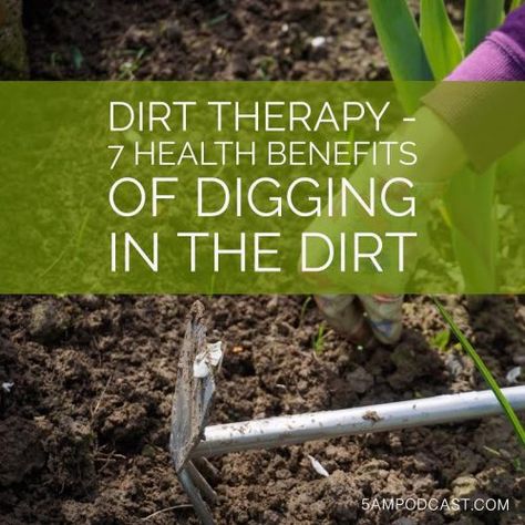 Dirt Therapy – 7 Health Benefits of Digging in the Dirt Dirt Therapy, Better Food Choices, Holistic Therapies, Harvard Medical School, Major Muscles, Health Center, Cardiovascular Disease, Muscle Tension, Grow Your Own Food