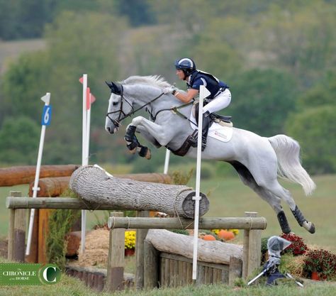 Eventing Cross Country, Cross Country Jumps, Show Jumping Horses, Eventing Horses, Horse Aesthetic, Grey Horse, Horse Jumping, Equestrian Life, Horse Life