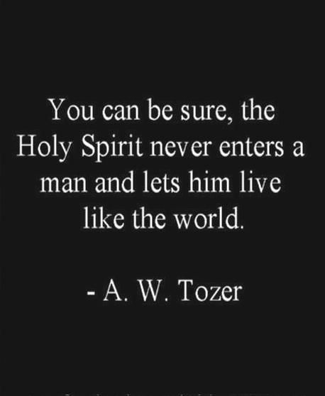 So true. Live closer to HIS WORD, as HE guides and directs. Tozer Quotes, Aw Tozer, 5 Solas, A W Tozer, Soli Deo Gloria, A Course In Miracles, Jesus Christus, Quotes God, My Savior