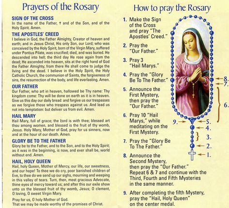 Similiar Printable Rosary Prayer Keywords With How To Pray The for How To Pray The Rosary Printable24065 Rosary Prayer Guide, Holy Rosary Prayer, Praying The Rosary Catholic, Rosary Guide, Pray Rosary, Rosary Prayers Catholic, Fatima Prayer, Saying The Rosary, Pray The Rosary