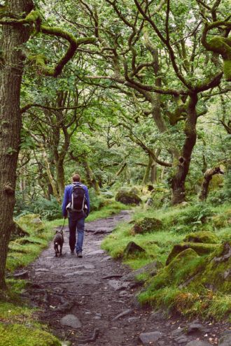 What is Nature-Deficit Disorder? – New research suggests Nature-Deficit Disorder impacts everyone. Learn more about this modern condition, how to avoid it, and what are the key benefits of spending time in the great outdoors. Nature Deficit Disorder, Mindful Living, Great Outdoors, Get Healthy, The Great Outdoors, Healthy Living, Benefits, Key, Health