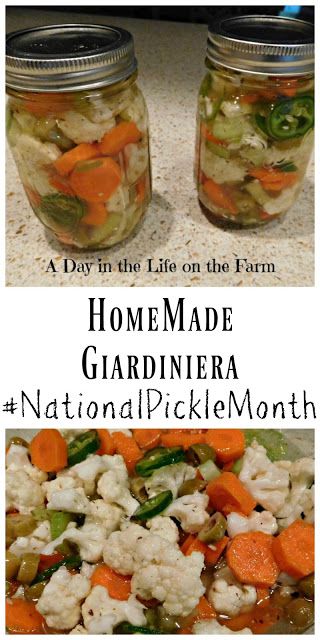 Vegetable Relish Recipes, Canned Giardiniera Recipe, Giardiniera Recipe Canning, Pickled Vegetables Giardiniera, Canning Giardiniera Recipe, Homemade Giardiniera, Homemade Giardiniera Recipe, Giardiniera Recipe, Picked Vegetables