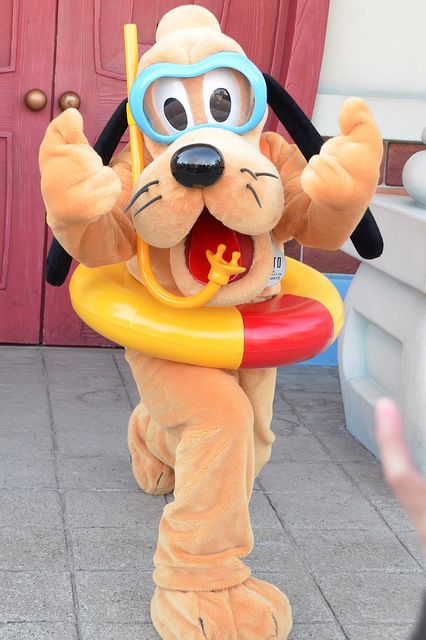 Pluto at the Beach Tshirt Prints, Disney Photo Ideas, Disney World Pictures, Disney World Characters, Disneyland Hotel, Cute Disney Pictures, Disney Things, Disney Collage, Disney Photography