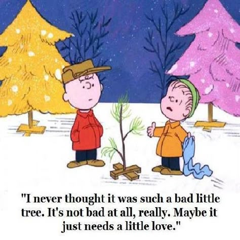 Charlie Brown Christmas Quotes Charlie Brown Christmas Quotes, Charlie Brown Thanksgiving, Charlie Brown Christmas Tree, Christmas Movie Quotes, A Charlie Brown Christmas, Best Christmas Movies, Classic Christmas Movies, Sufjan Stevens, Ross Geller