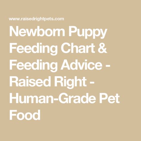 Newborn Puppy Feeding Chart & Feeding Advice - Raised Right - Human-Grade Pet Food Bottle Feeding Puppies, Puppy Feeding Chart, Feeding Puppies, Feeding Puppy, Human Grade Dog Food, Newborn Puppy, Puppy Formula, Puppy Feeding, Newborn Puppies