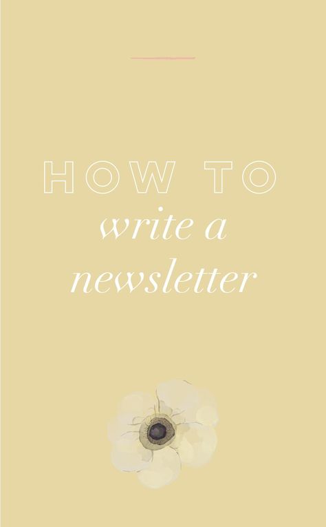 How to Write a Newsletter | Everyone and their Mama is preaching at you to “start an email list” and “grow your email list overnight”. And that’s all great and dandy, but what do I say? ← that might be what you’re thinking. I often get asked about how to write a newsletter because I know you’re sitting over there knowing for a fact you need to start an email list. But then, what? Right? #onlinebusiness #newsletters #businesstips #creativeentrepreneur #rachelallene | Rachel Allene Blog Writing A Newsletter, How To Write A Newsletter, Pink Turtle, Small Business Strategy, Coaching Tips, Small Business Organization, Email Marketing Template, Beachbody Coach, Entrepreneur Tips