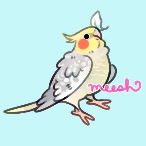 Meesh’s Instagram post: “Commission for twitter@/wastelandWolff ✨ . . . #cockatiel #cockatielsofinstagram #floral #bird #birdart #vogel #commissionsopen #art…” Artbook Design, Parakeet Art, Parrot Drawing, Finches Bird, Parrots Art, Moth Art, Cartoon Birds, Graffiti Style Art, Cute Animal Drawings Kawaii