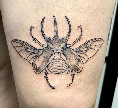 Atlas beetle done by Laura at Laughing Buddha in Seattle, WA : r/tattoos Atlas Beetle, Abdomen Tattoo, Beetle Tattoo, Prison Tattoos, Insect Tattoo, R Tattoo, Laughing Buddha, Gouache Art, Time Tattoos