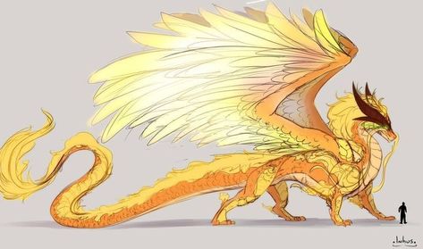 Dragon Pheonix Drawing, Dragon Phoenix Hybrid, Sun Character Design Concept Art, Sun Dragon Art, Bird Dragon Hybrid, Fantasy Bird Creature, Feathered Dragon Art, Sunfire Dragon, Dragon Design Concept