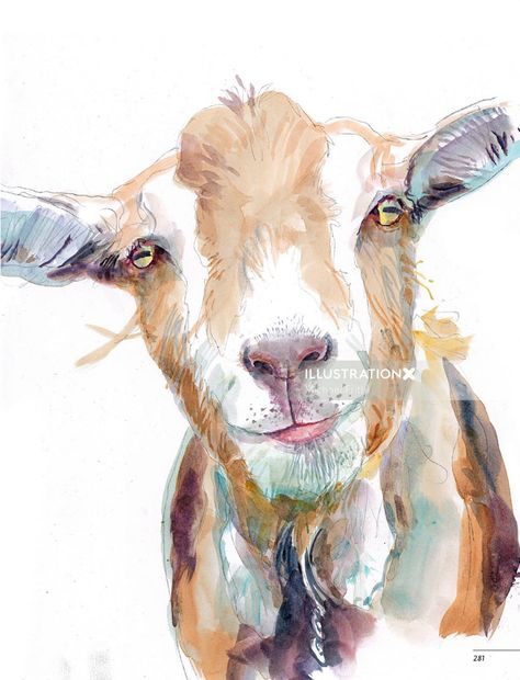 Watercolour illustration of goat Goat Paintings, Goat Art, Watercolor Art Landscape, Watercolor Horse, Drawing Faces, A Goat, Watercolor Art Lessons, Art Simple, Arte Animal