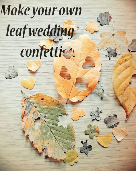 Create your own biodegradable leaf confetti for your rustic wedding- http://www.wildflower-favours.co.uk/make-your-own-leaf-wedding-confetti/ Leaf Confetti, Biodegradable Confetti, Memorable Wedding, Eco Wedding, Eco Friendly Wedding, Candle Packaging, Ceremony Decor, Wedding Confetti, Wedding Crafts