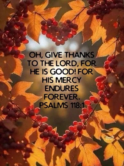 Happy Thanksgiving Spiritual, Happy Thanksgiving Christian Images, Thanksgiving Scripture Wallpaper, Happy Thanksgiving Quotes Christian, Give Thanks To The Lord For He Is Good, Thanksgiving Scripture Quotes, Thanksgiving Poems For Family, Happy Thanksgiving Images Christian, Thanksgiving Blessings Quotes Prayer